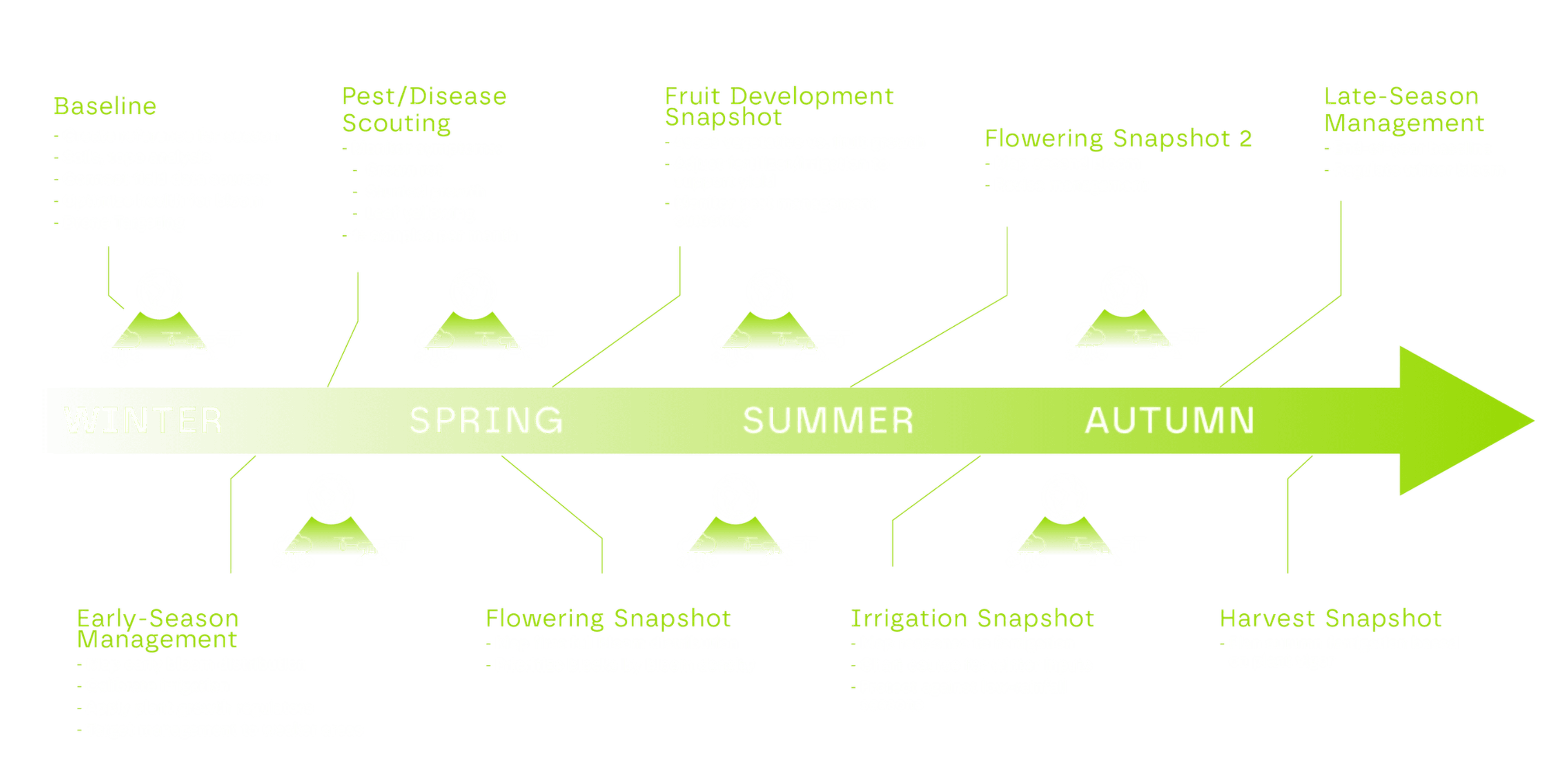 Avocado Production Profile