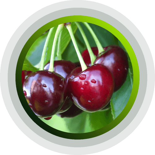 Cherries