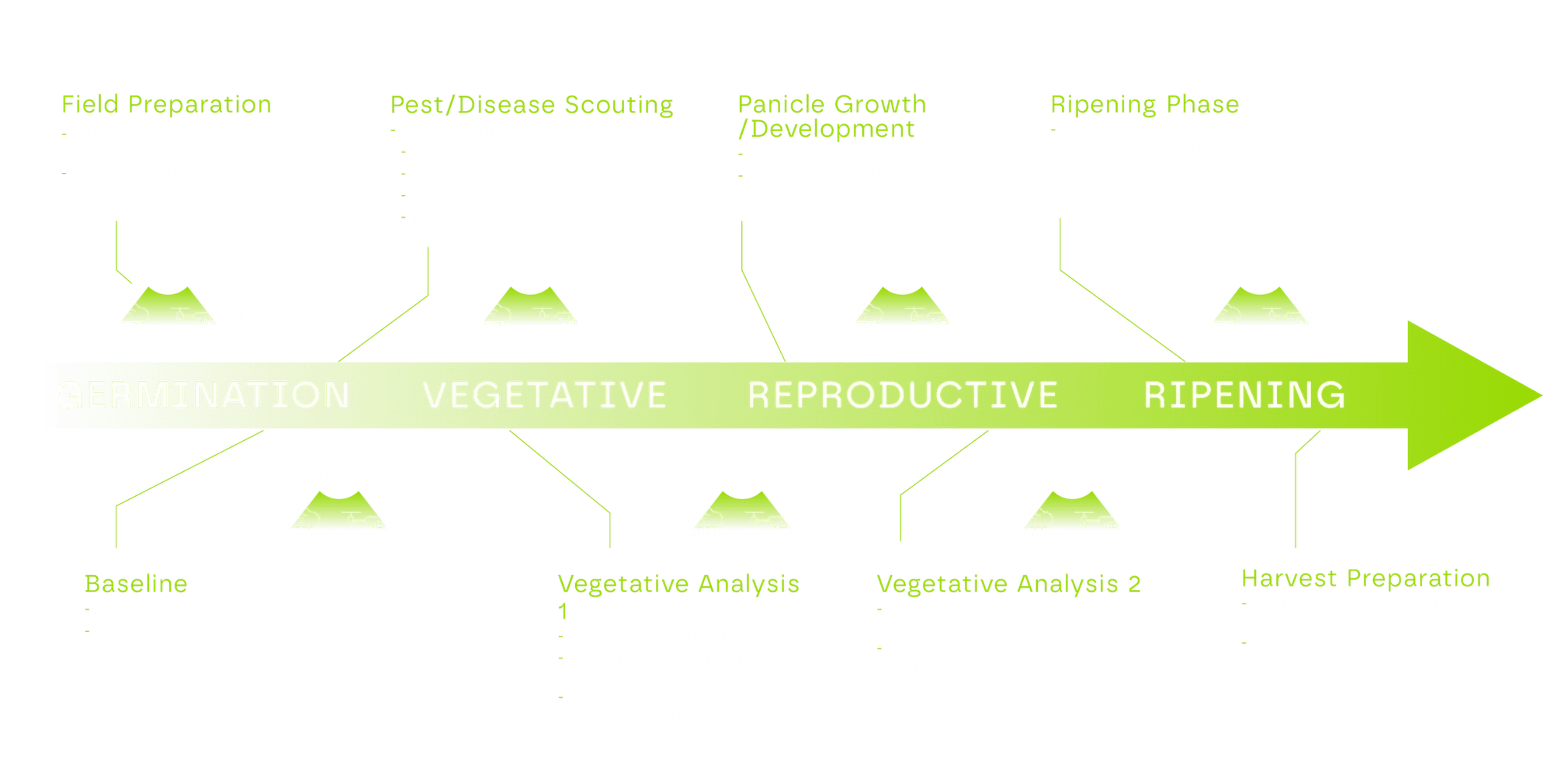 Rice Field Production Profile